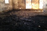 IMAG0344